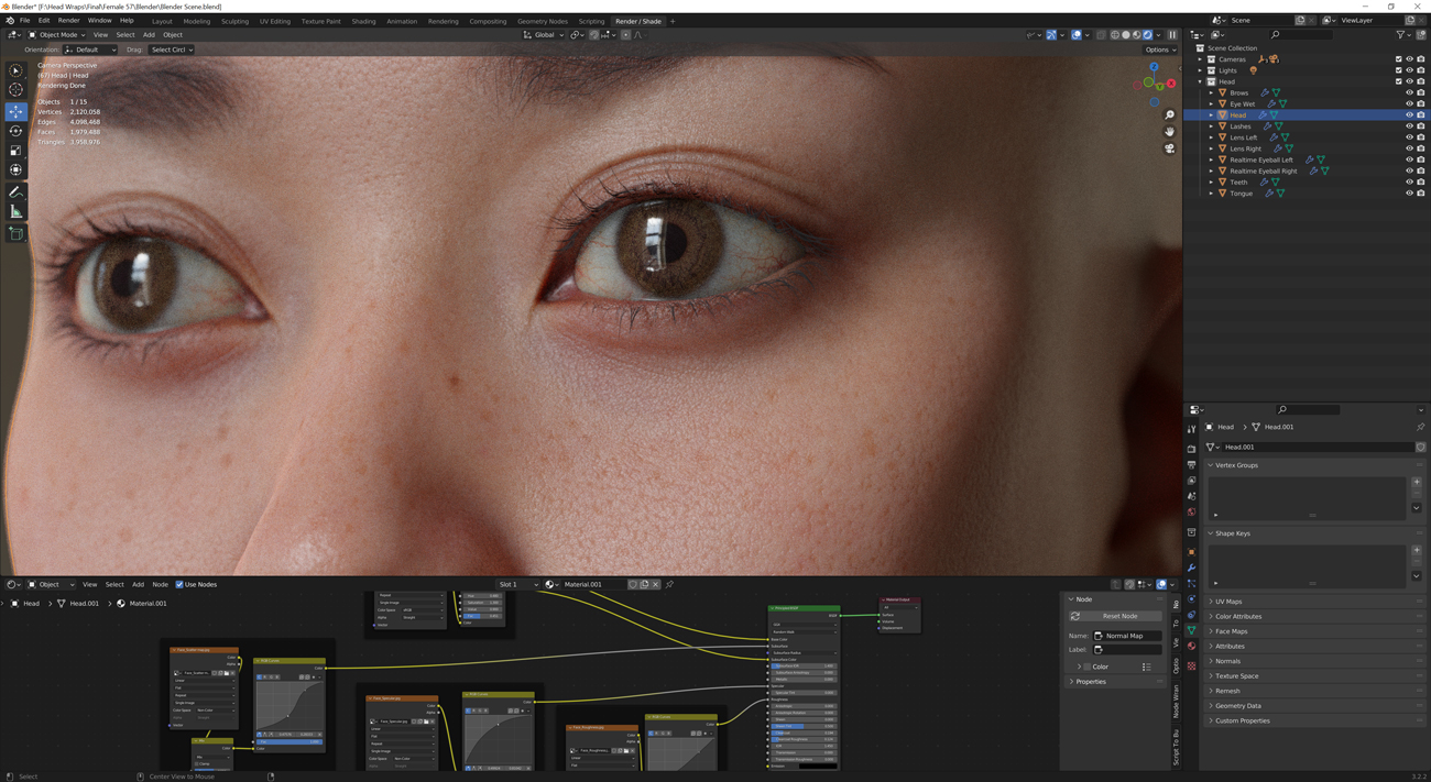 Download female head model for blender